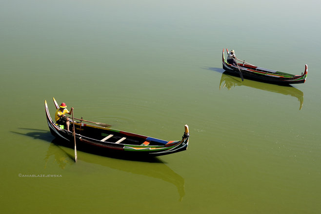 曼德勒省阿玛耶布耶池塘死鱼增多 （华轩）