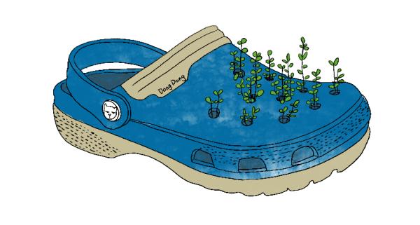 常穿洞洞鞋会得脚气吗？