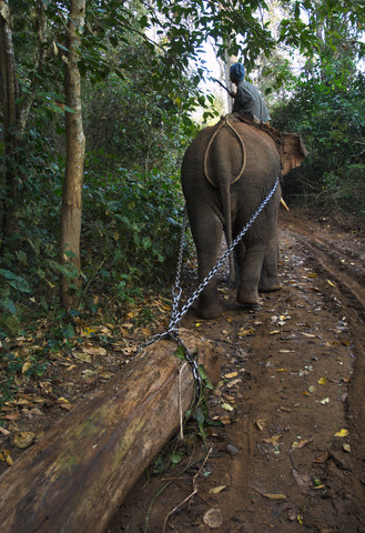 国防军与佤族团结军之间形成军事行动对峙 （华轩）