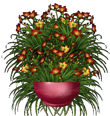 十要 十忌 十伤 十多 十少