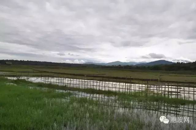 另眼看缅甸：“臭”的变迁