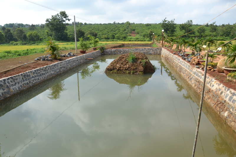 缅甸重视发展淡水养殖业