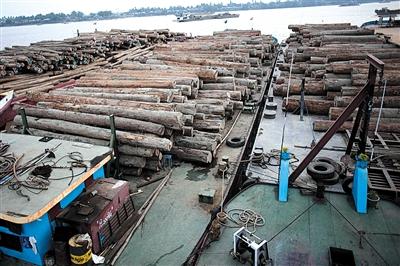 被政治化的中国伐木工人在缅被捕风波(林锡星 )