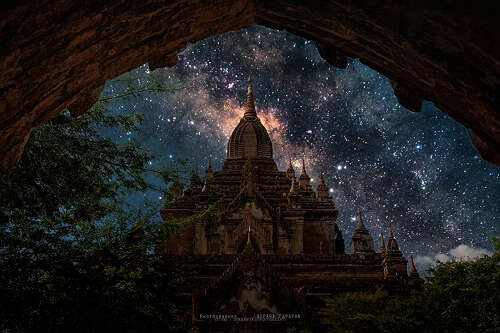 我们不是冷血动物(东枝 伊江树)