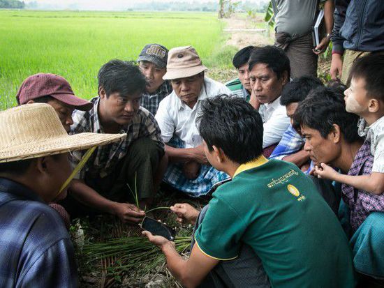 缅甸智能机现状:如何能改变一个国家？