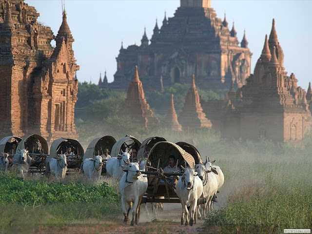 聚焦缅甸|未来十年缅甸旅游业发展速度或为全球第一