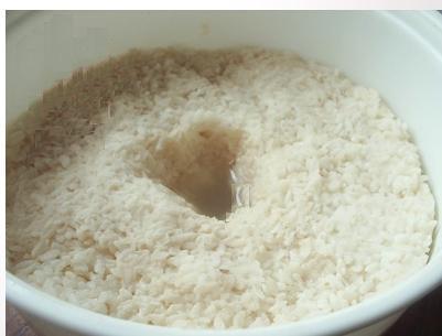 酒酿 朱徐佳 洛杉矶