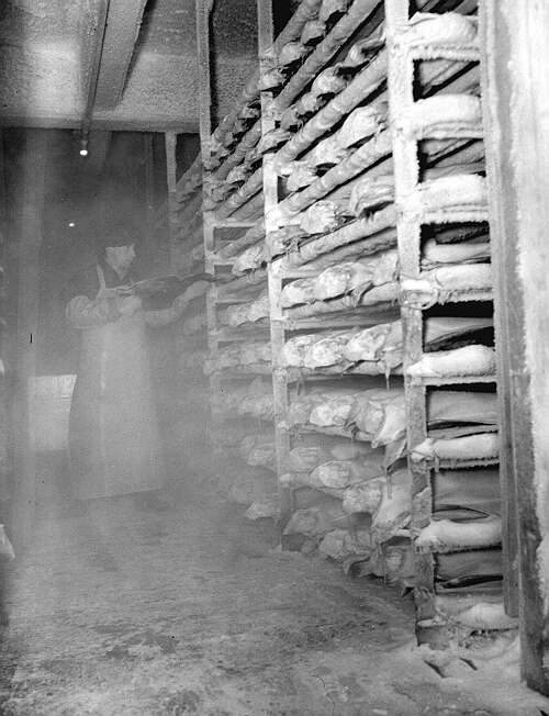 仰光将建一幢可冷藏二万吨海鲜冷冻库 （华轩）