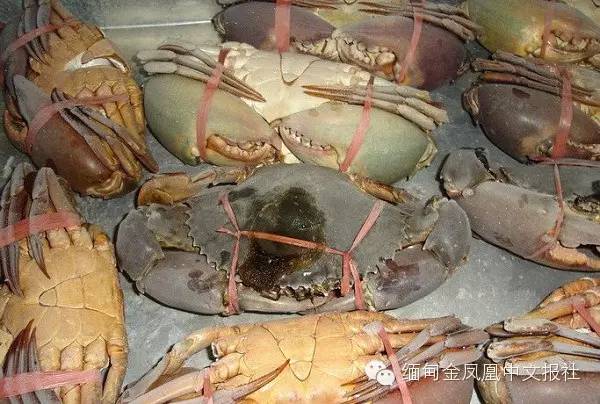缅产螃蟹供不应求 捕捞量减少致价格上涨