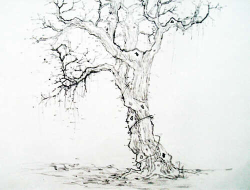 院前的枯树（腊戌明德总校高一班姜吉瀚）