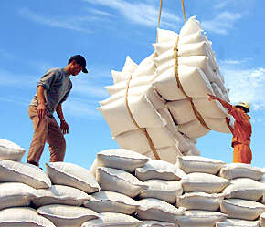 缅甸将继续对华出口大米计划