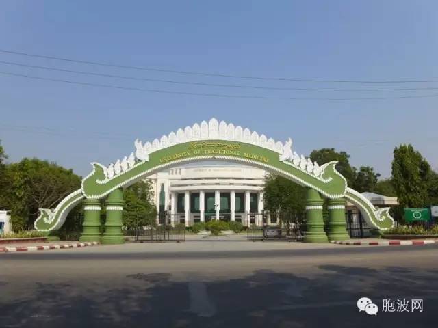 神秘的缅甸传统医科大学种上“汉语花”  伴缅医中药“共舞”