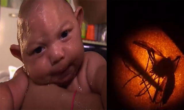 寨卡病毒已传到邻国,缅甸在各关卡严阵以待（东枝  伊江树）