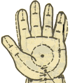 【健康】捏捏这些穴位，包你一年不得病～