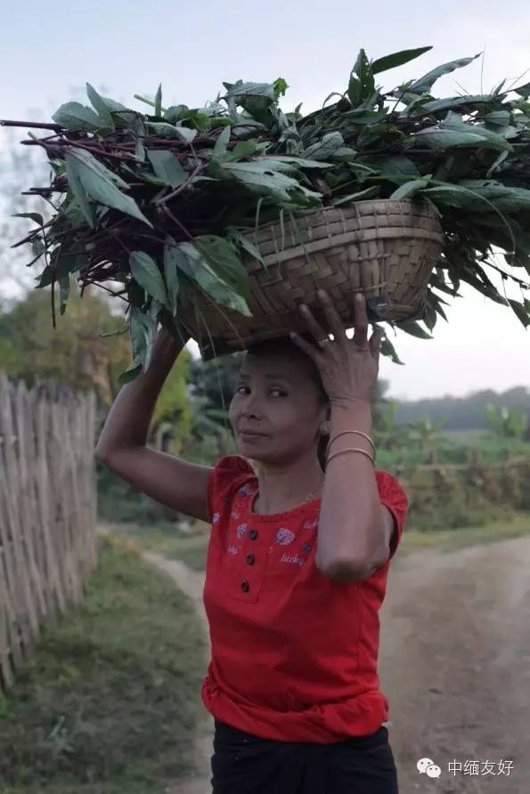 “中缅友谊泉”项目巡查故事4——来自隔壁村子羡慕的目光