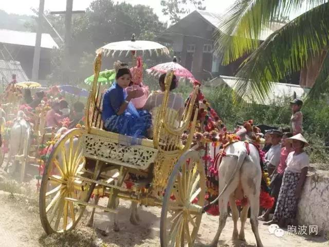 缅甸“十八怪” ——征集缅甸文化的奇葩