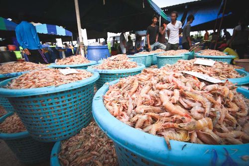 缅甸海产品出口比上财年下降4千万美元