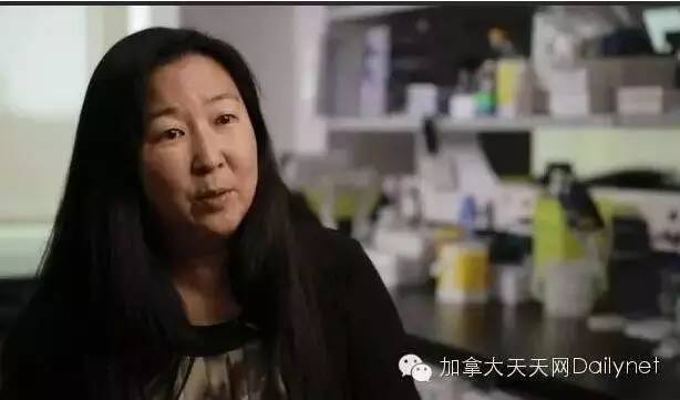 加拿大癌症治疗又有突破性进展！只需11天就能杀死癌细胞！