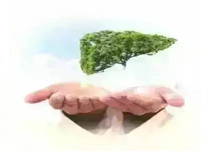 【健康】一到春天身体就不在状态？原来是它在捣乱！