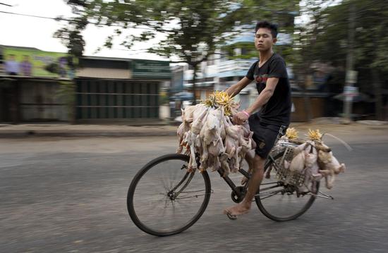 IMF：2016缅甸经济增速将世界第一