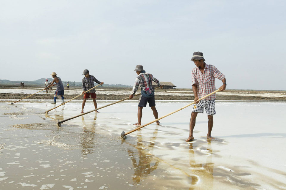 原创：孟邦地区今年盐田面积有所增加