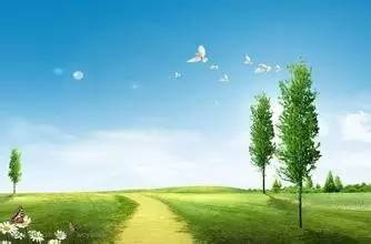 翻译是怎样炼成的