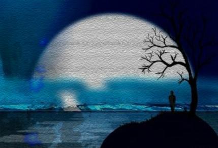 梦里寻亲（阿凯）