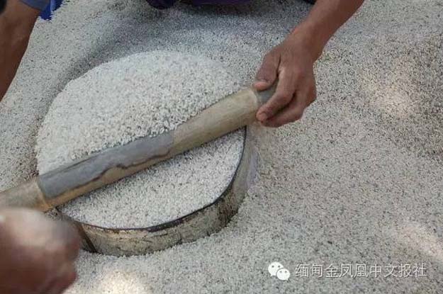 缅甸输华大米首次发现高危害虫 业内担心将影响缅甸大米出口