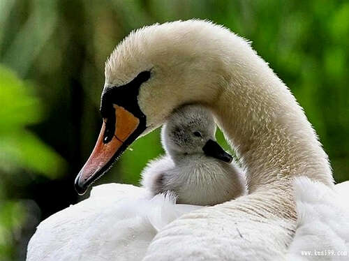 人间有真情（周改艳））