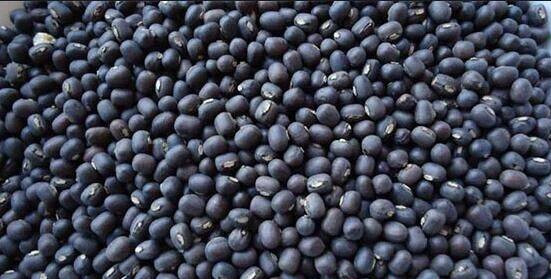 印度暂停采购缅甸豆类后 国内豆类价格1吨下跌40万缅币左右