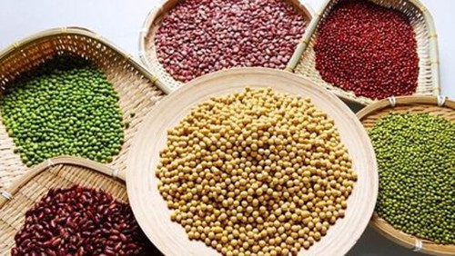 印度重新购缅甸豆类致豆类价格上涨