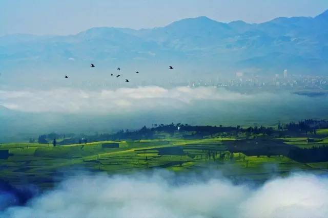 我叫山果（黄兴蓉）