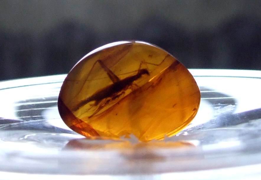 缅甸琥珀文化节3-6号举行