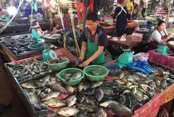 缅甸对中国的鱼类等水产品出口量下降