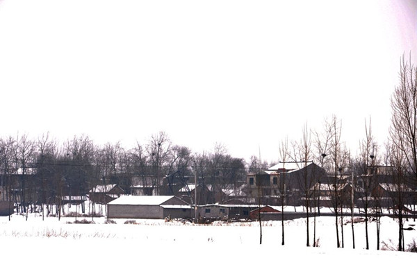 赏析篇——家乡的雪