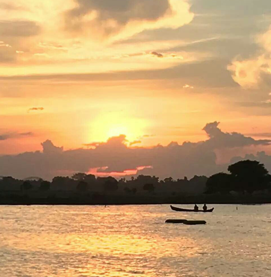 赏析篇---与你对望我羞红了脸（付彦飞）