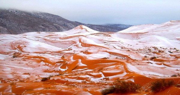 全球最热的撒哈拉沙漠居然下雪了 系37年来首次(组图)