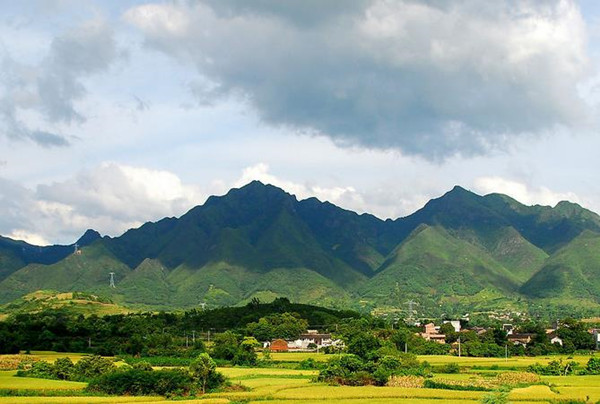 赏析篇——山村里的欢笑
