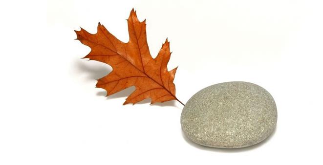 赏析篇——石说