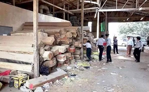 仰光省9天内价值26亿走私木材被查获