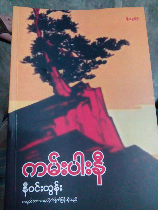 “三红一创”时期的经典名著-伊江树