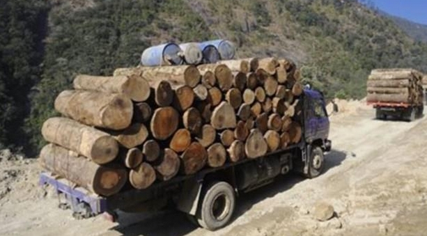 彬乌伦10天里查获10余吨走私木材
