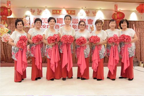 2017年春宴团拜记事-谭炳辉