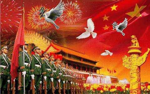 目送小鸽翱翔蓝天(动物系列四)-苏顺路