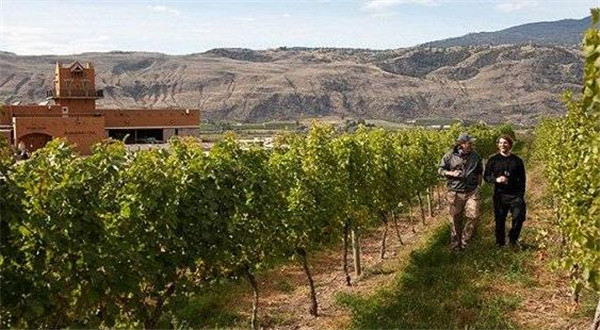 从缅甸到葡萄牙 11个上乘品质葡萄酒产地