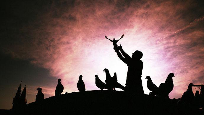 缅甸：脆弱的“和平”