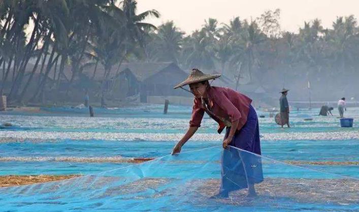 政府宣布 外商可投资12种行业