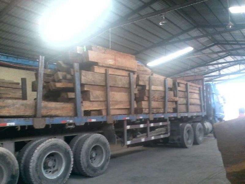 缅甸5月1日起将停止木材出口