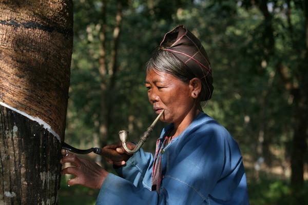 云南侨乡保山与缅甸开展替代种植合作 促口岸经济繁荣