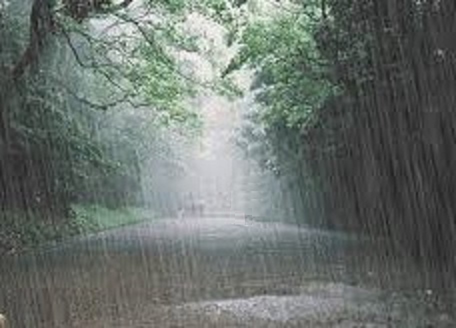 故乡的雨-朱徐佳